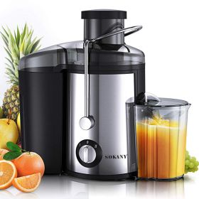 Juicer Multifunctional Separate Stainless Steel (Option: Silver-UK)